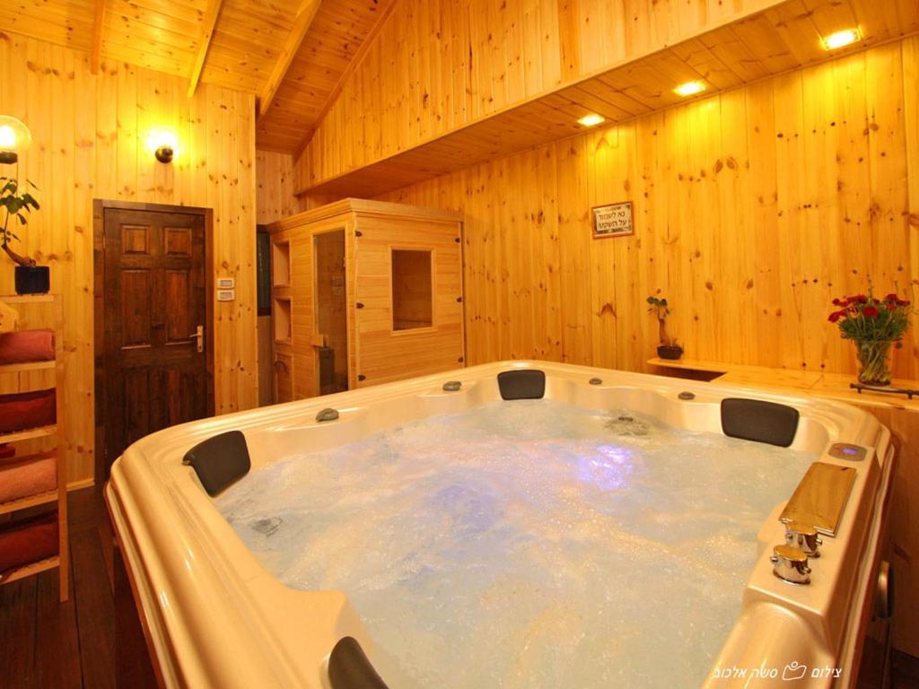 Suites & Spa Galilee Кирьят-Шмона Экстерьер фото